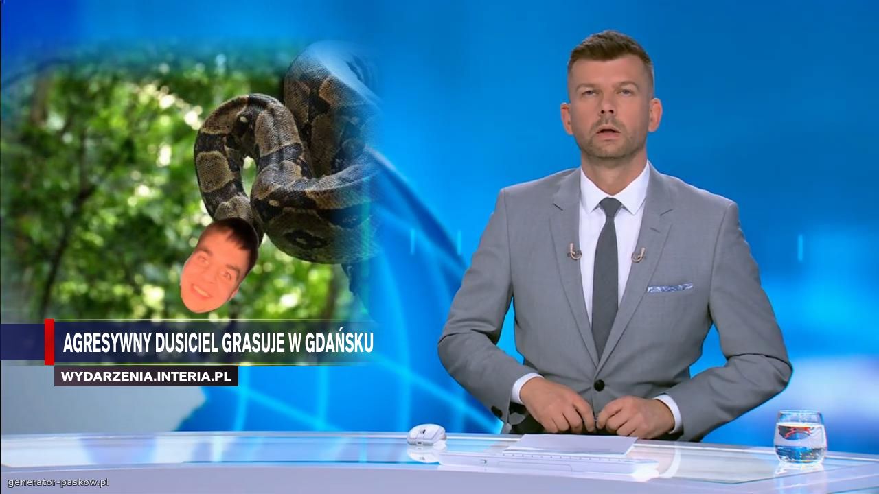 AGRESYWNY DUSICIEL GRASUJE W GDAŃSKU 