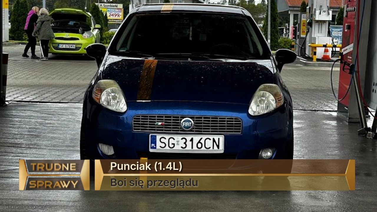 Punciak (1.4L)
Boi się przeglądu