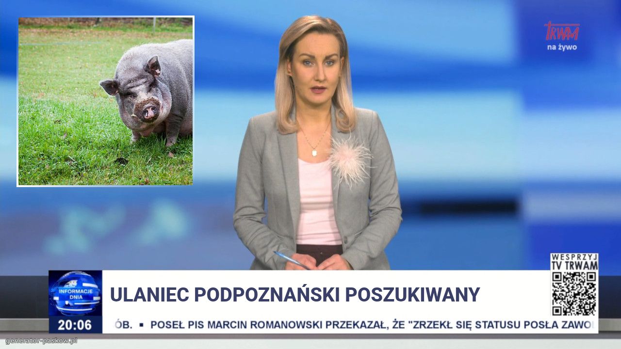 Ulaniec PODPOZNAŃSKI poszukiwany