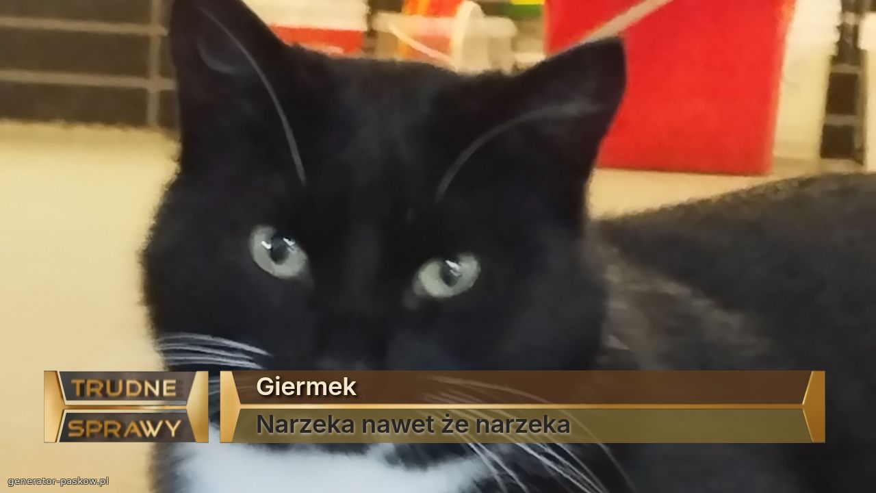 Giermek
Narzeka nawet że narzeka