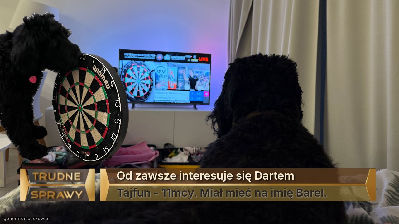 Od zawsze interesuje się Dartem
Tajfun - 11mcy. Miał mieć na imię Barel. 