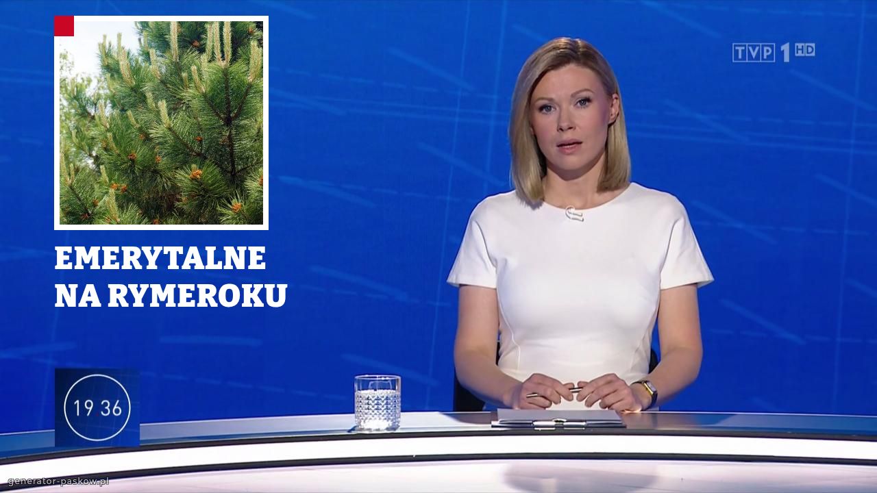 EMERYTALNE NA RYMEROKU