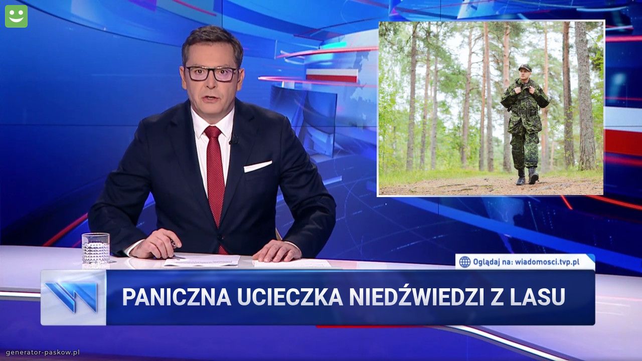 Paniczna ucieczka niedźwiedzi z lasu 