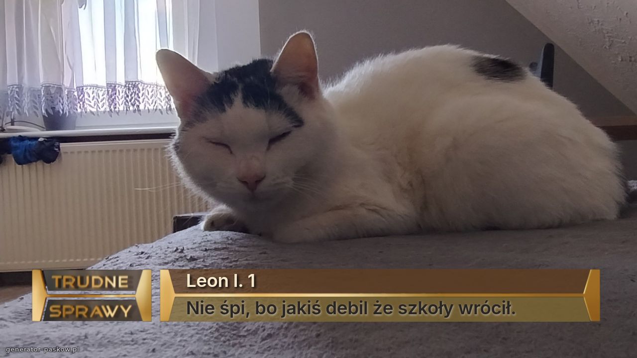 Leon l. 1
Nie śpi, bo jakiś debil że szkoły wrócił.