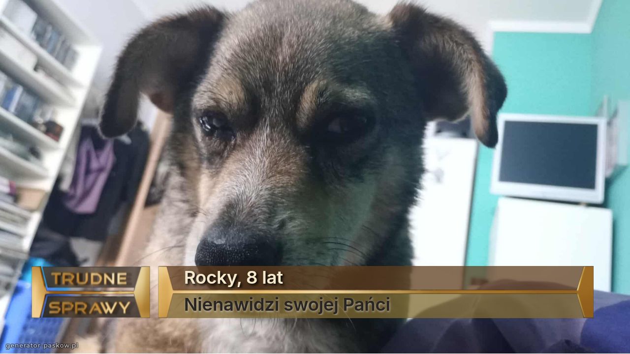 Rocky, 8 lat
Nienawidzi swojej Pańci