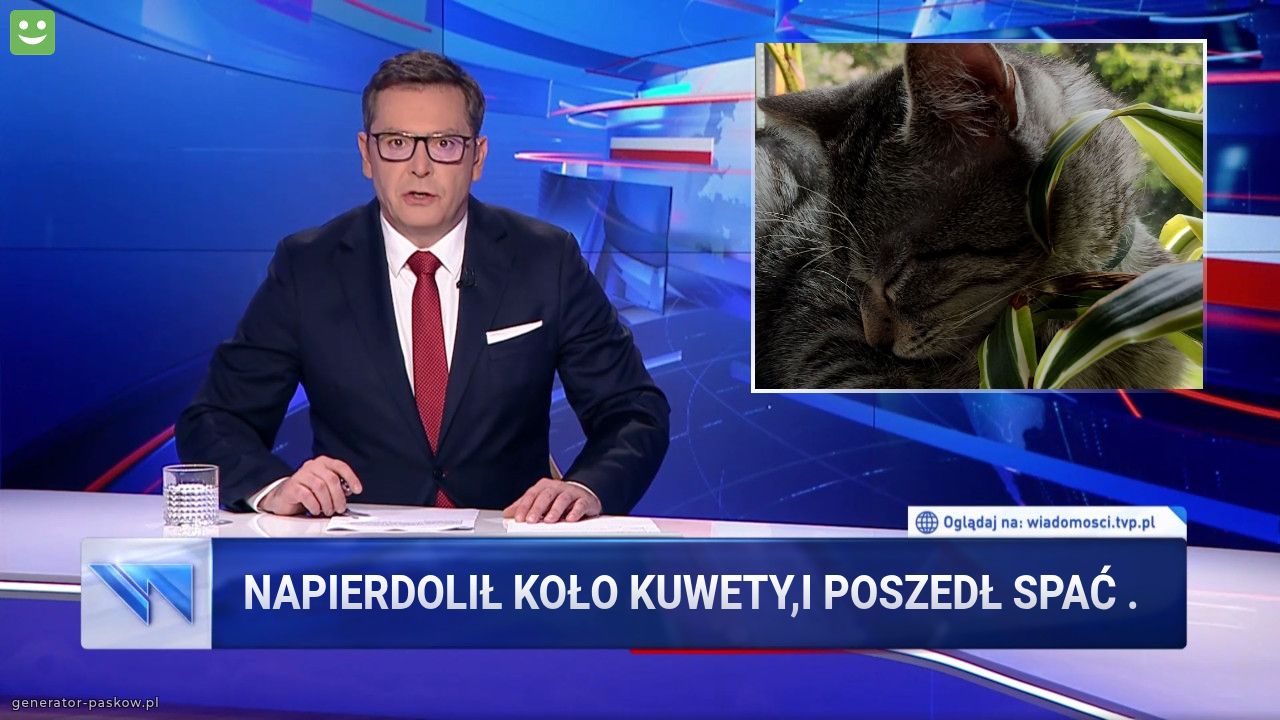 Napierdolił koło kuwety,i poszedł spać .