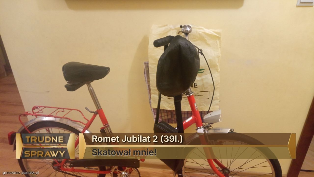 Romet Jubilat 2 (39l.)
Skatował mnie!