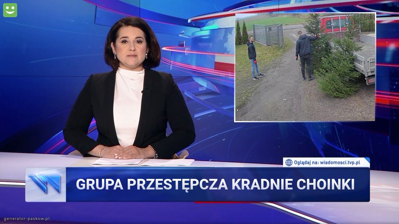 Grupa przestępcza kradnie choinki