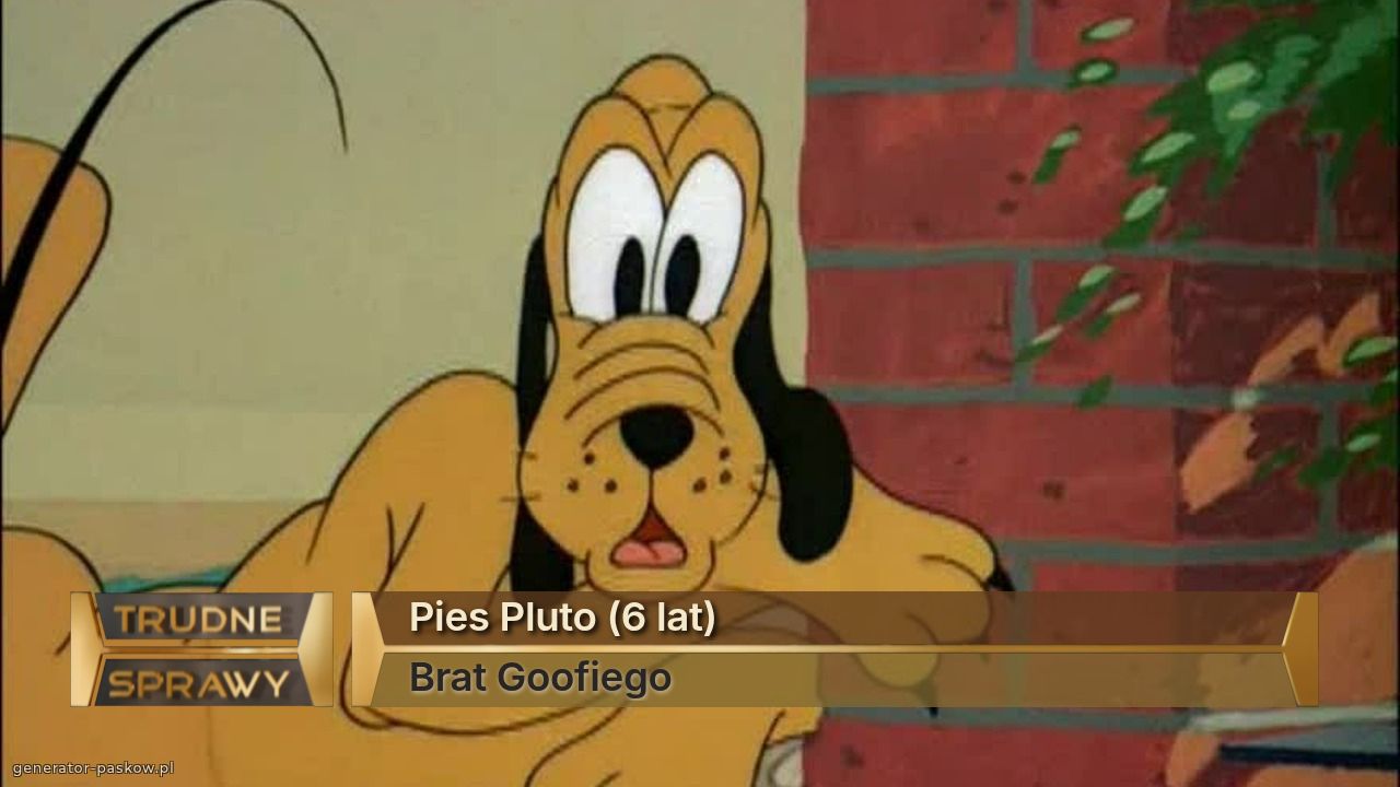 Pies Pluto (6 lat)
Brat Goofiego