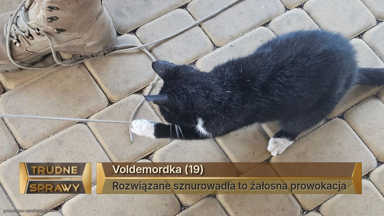 Voldemordka (19) 
Rozwiązane sznurowadła to żałosna prowokacja