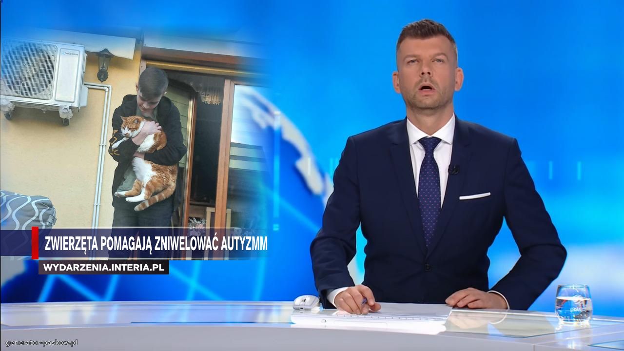 Zwierzęta pomagają zniwelować autyzmm