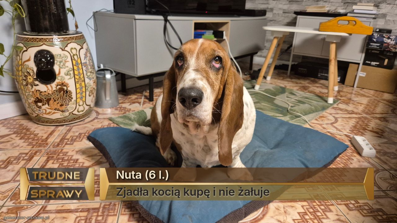 Nuta (6 l.)
Zjadła kocią kupę i nie żałuje