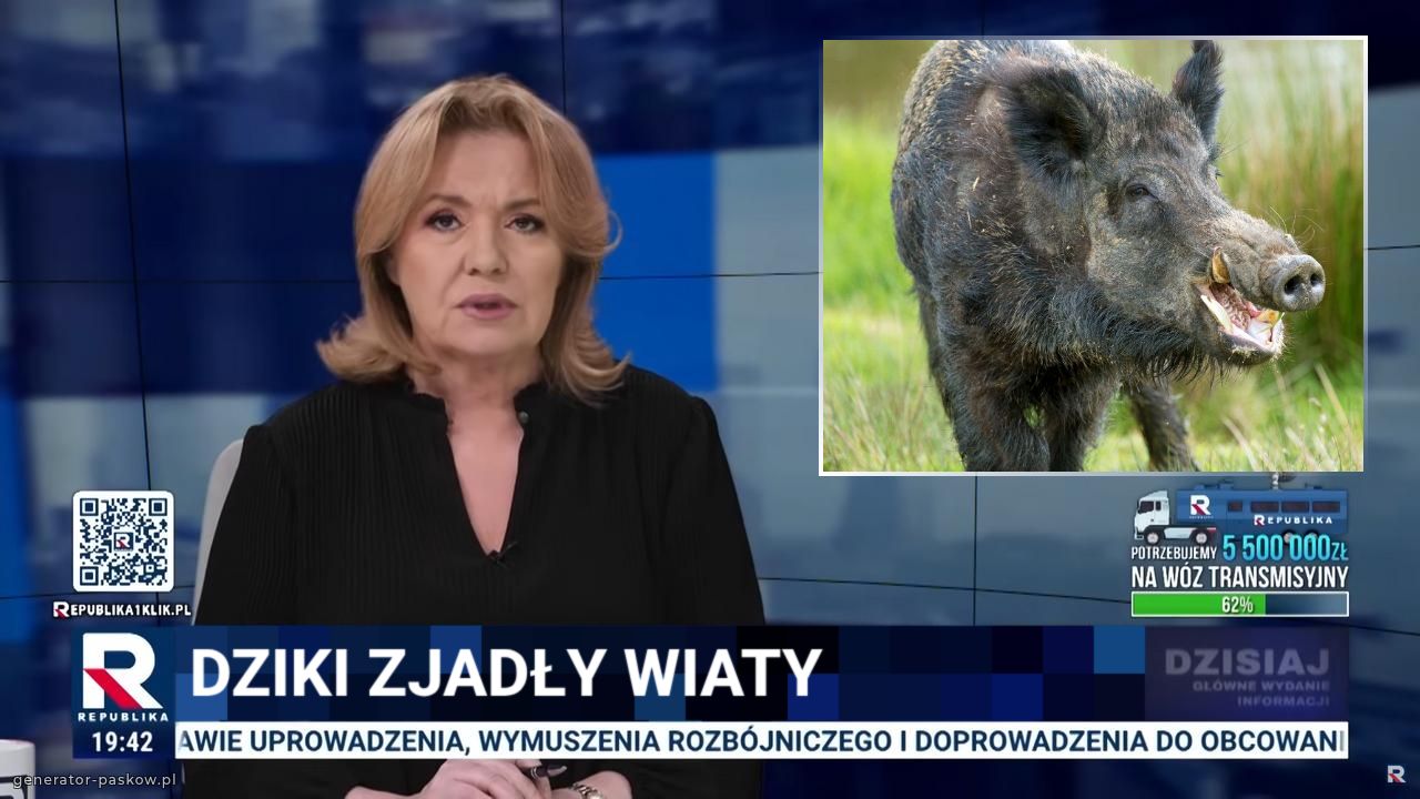 Dziki zjadły wiaty