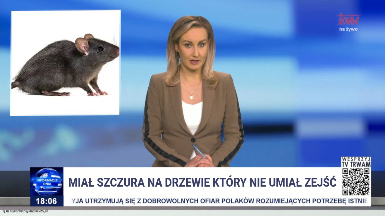 Miał szczura na drzewie który nie umiał zejść