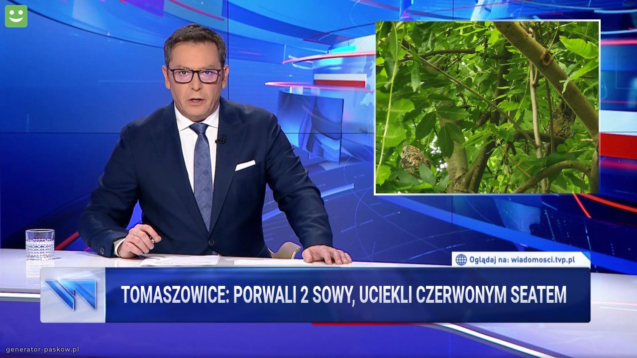 Tomaszowice: porwali 2 sowy, uciekli czerwonym seatem