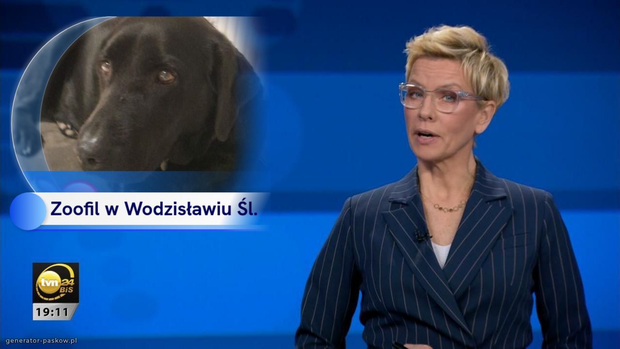 Zoofil w Wodzisławiu Śl.