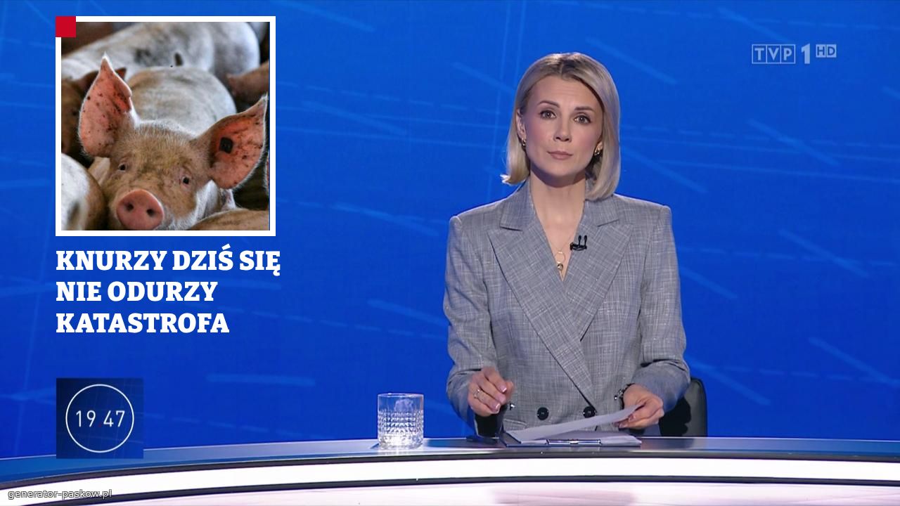 KNURZY DZIŚ SIĘ NIE ODURZY KATASTROFA
