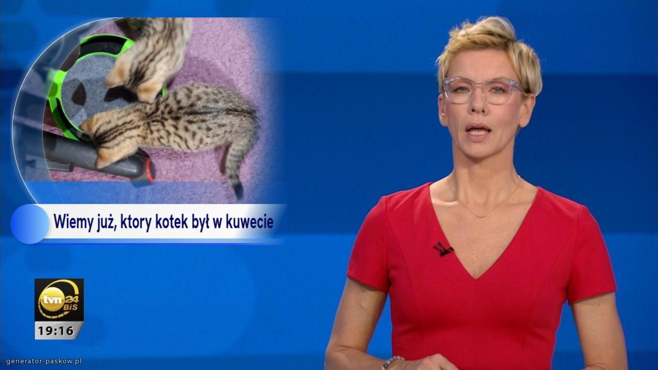 Wiemy już, ktory kotek był w kuwecie