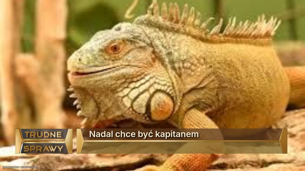 Nadal chce być kapitanem
