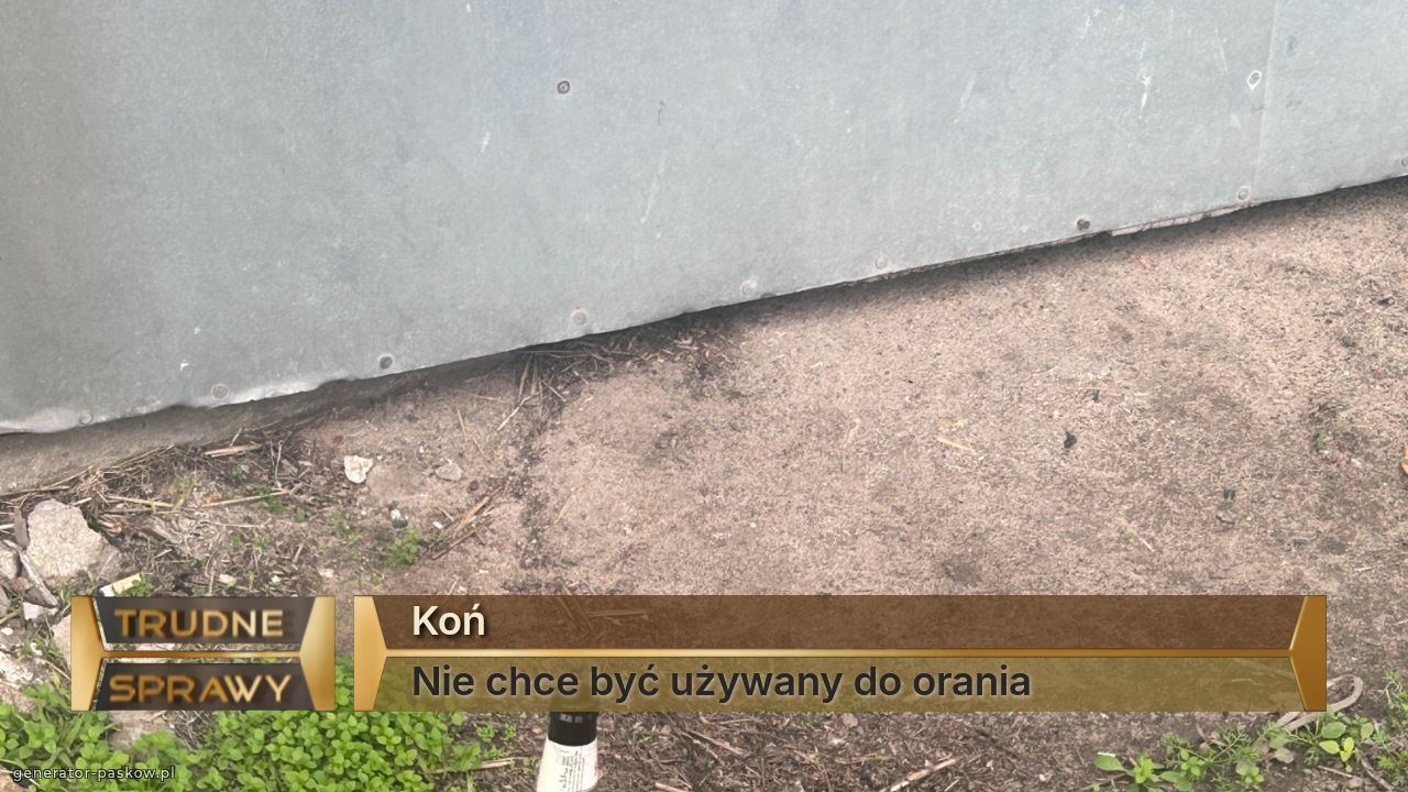 Koń  
Nie chce być używany do orania 