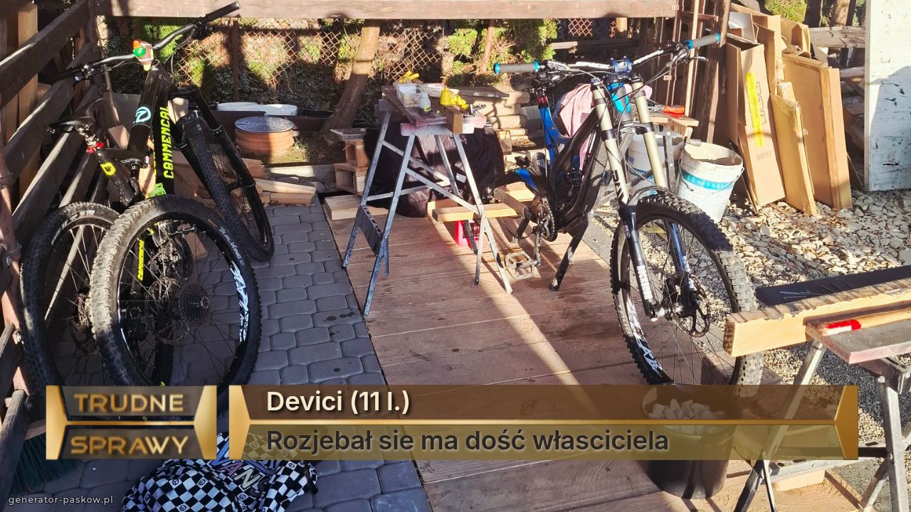 Devici (11 l.)
Rozjebał sie ma dość własciciela 