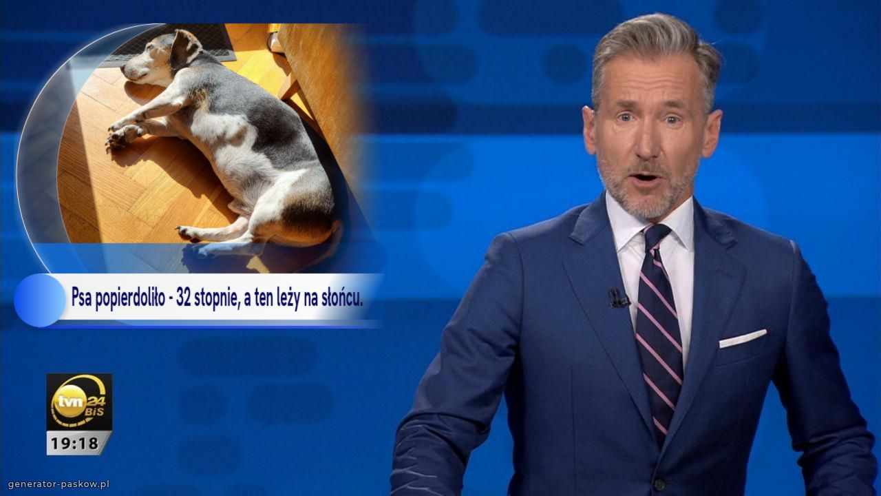 Psa popierdoliło - 32 stopnie, a ten leży na słońcu. 
