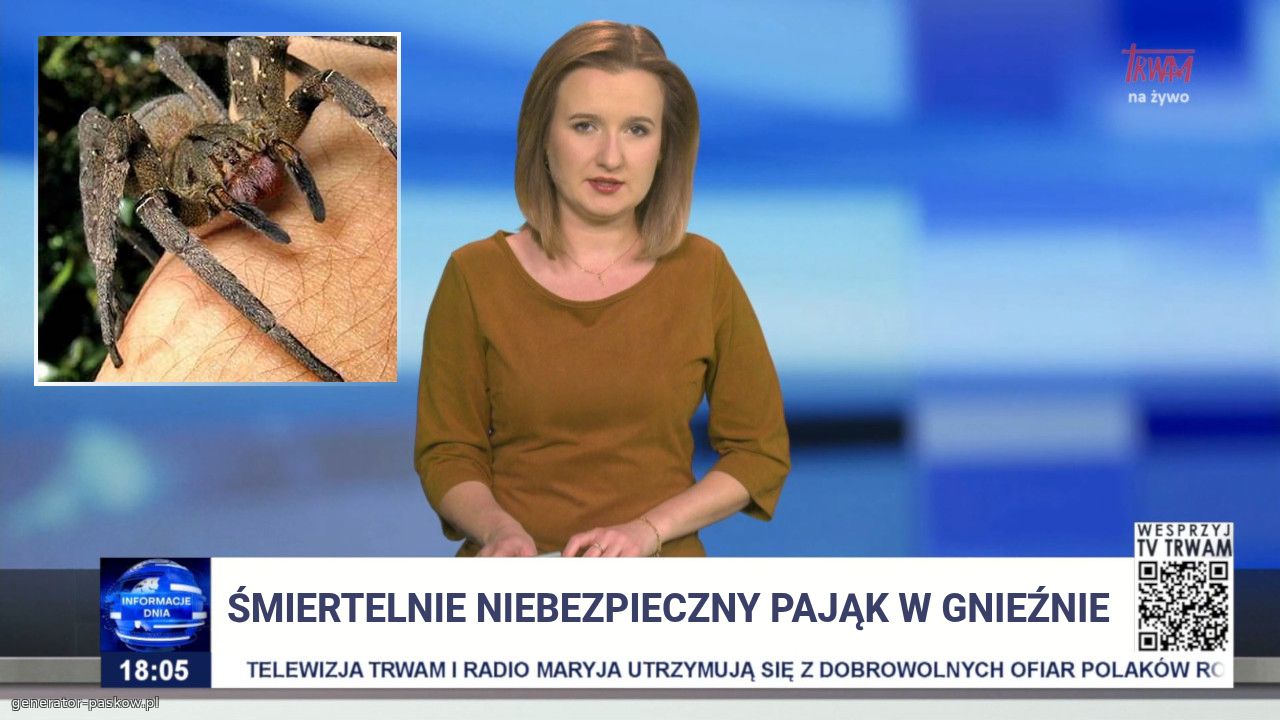 ŚMIERTELNIE NIEBEZPIECZNY PAJĄK W GNIEŹNIE 