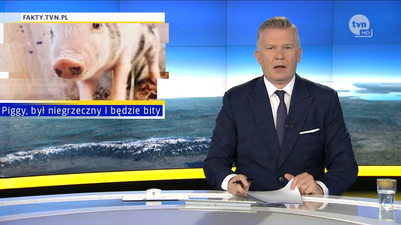 Piggy, był niegrzeczny i będzie bity