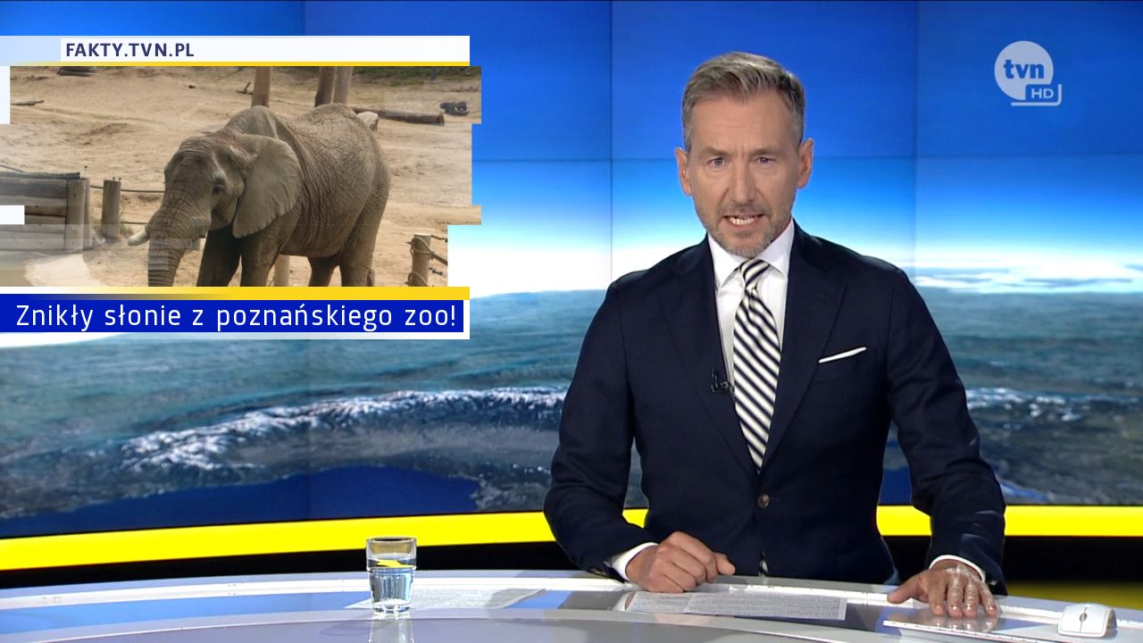 Znikły słonie z poznańskiego zoo!