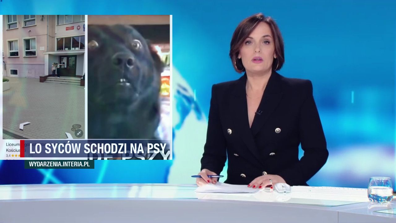 LO SYCÓW SCHODZI NA PSY