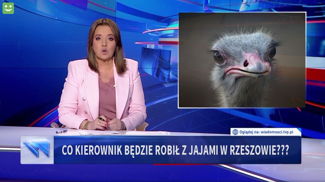 co kierownik będzie robił z jajami w rzeszowie???