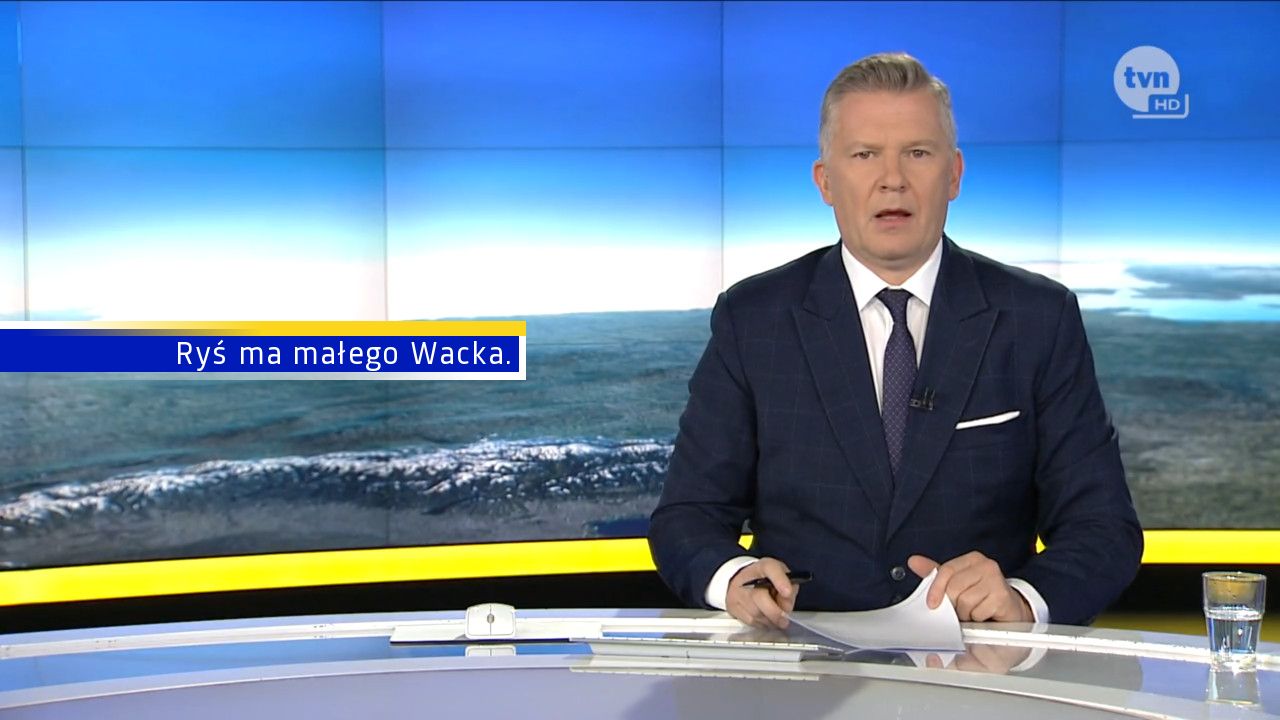 Ryś ma małego Wacka.