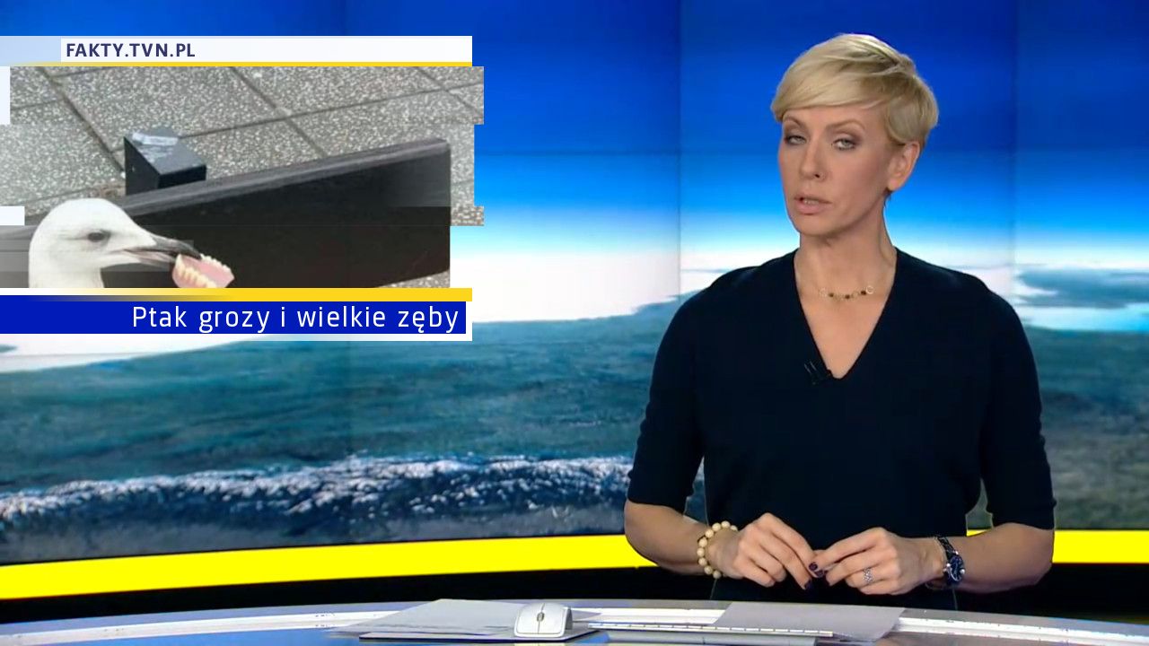 Ptak grozy i wielkie zęby