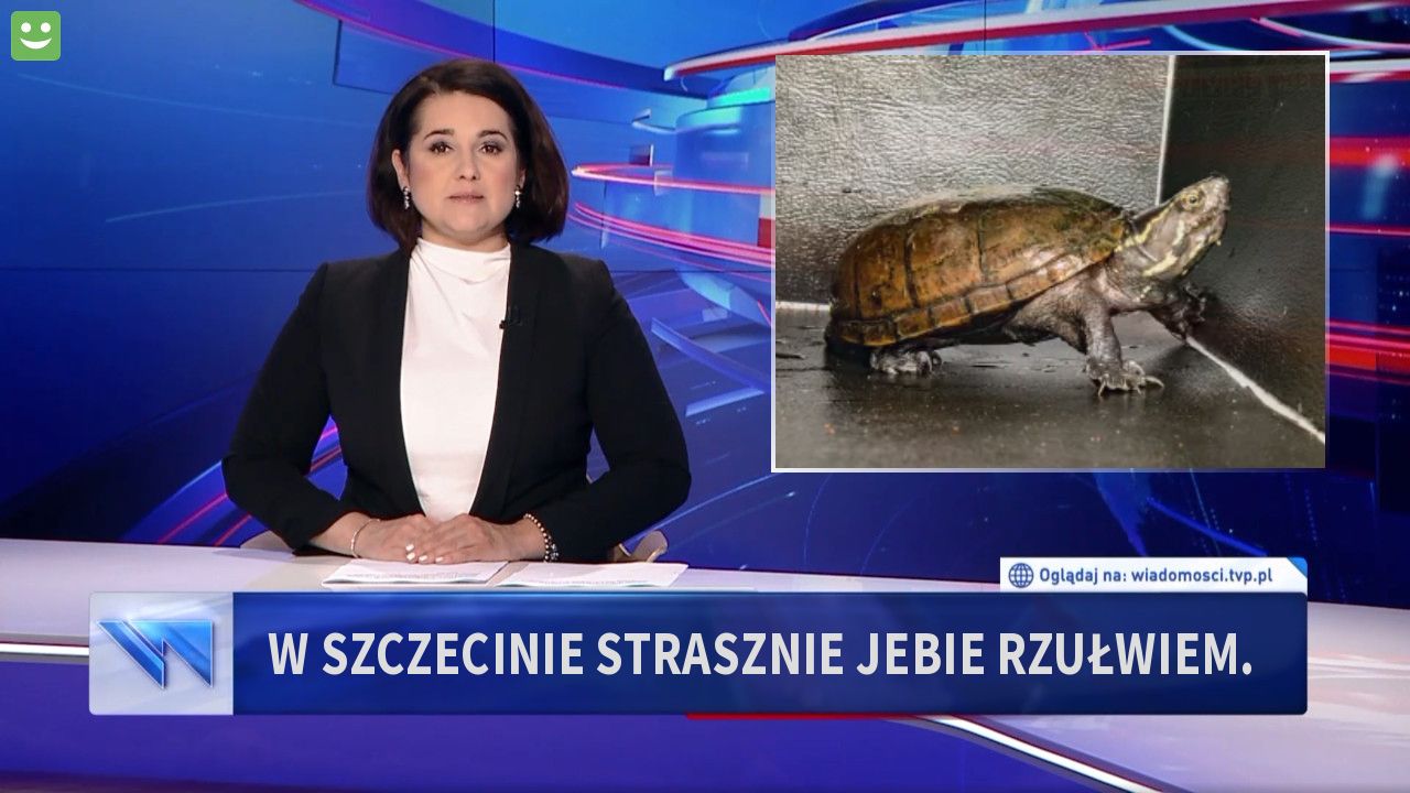 W SZCZECINIE STRASZNIE JEBIE RZUŁWIEM.