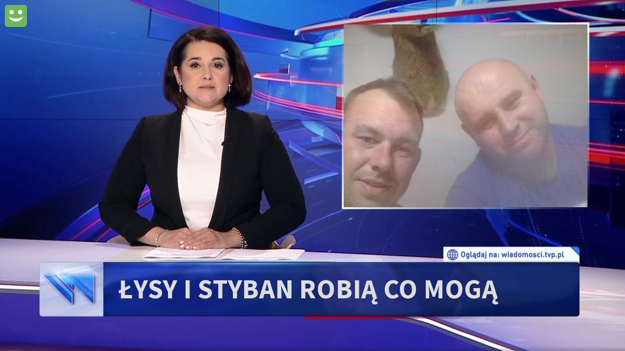 ŁYSY I STYBAN ROBIĄ CO MOGĄ 