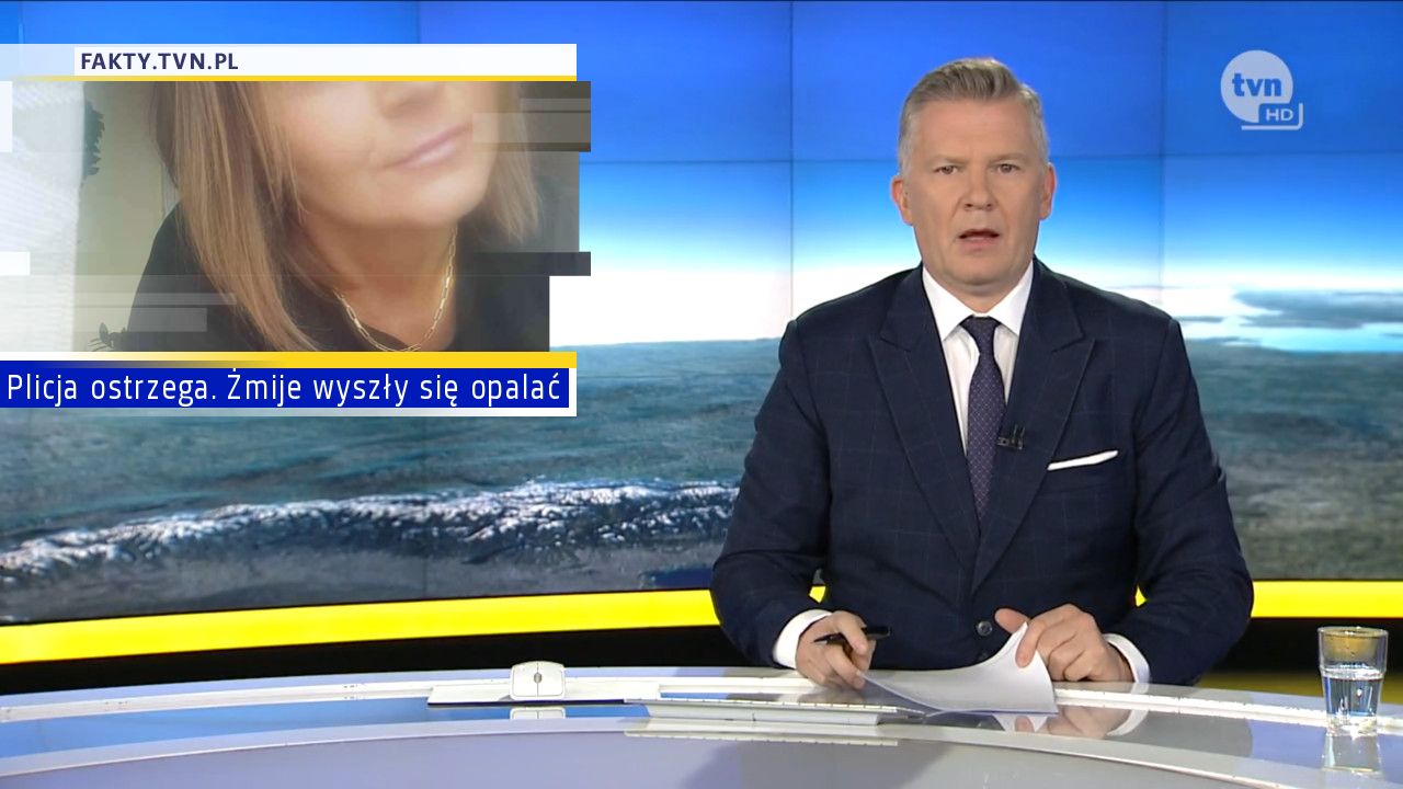 Plicja ostrzega. Żmije wyszły się opalać 