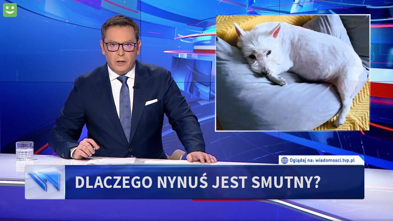 DLACZEGO NYNUŚ JEST SMUTNY?