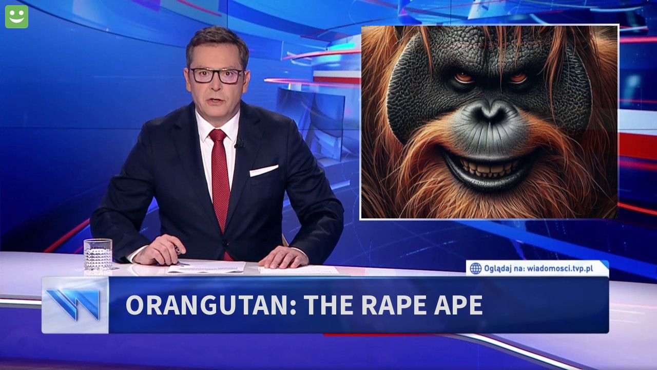 Orangutan: the rape ape