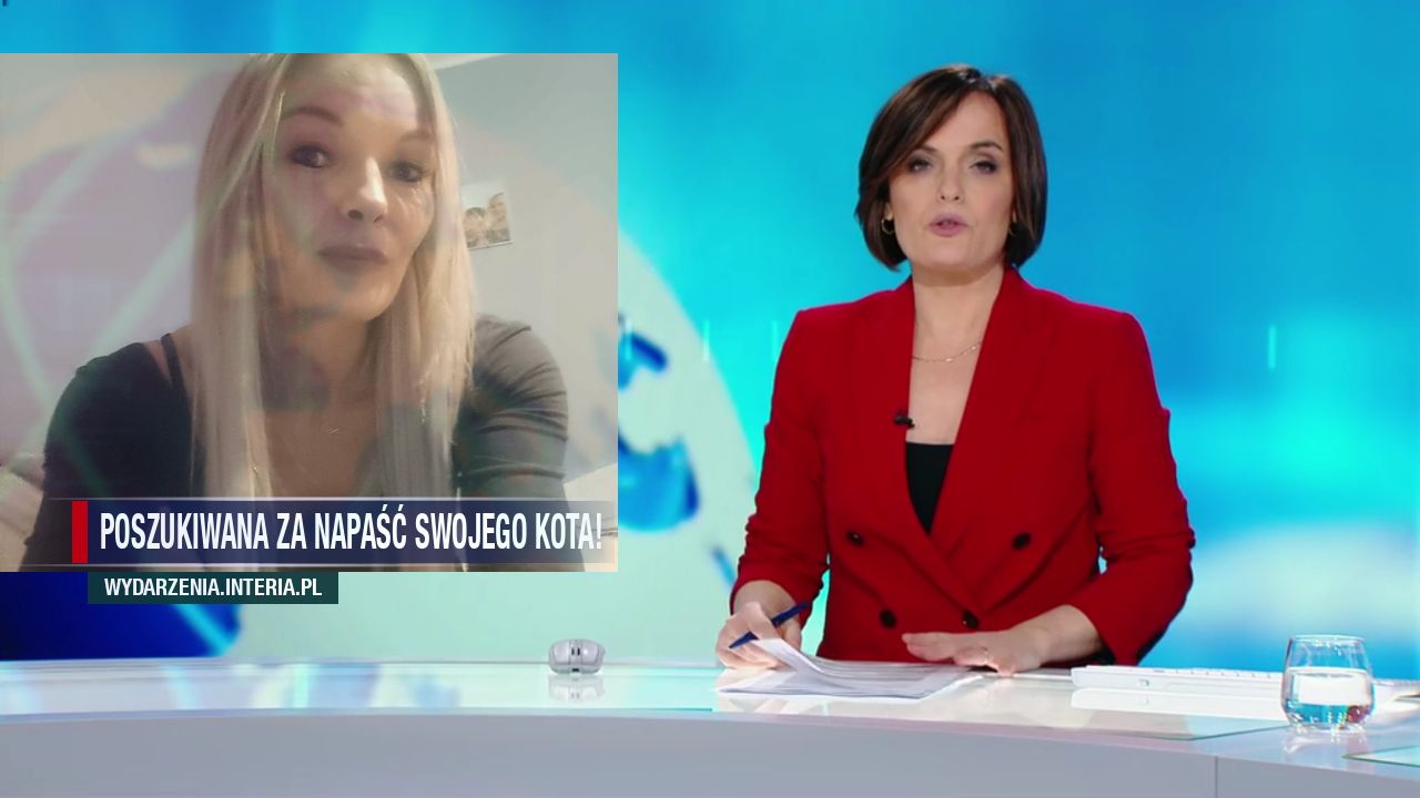 Poszukiwana za napaść swojego kota!