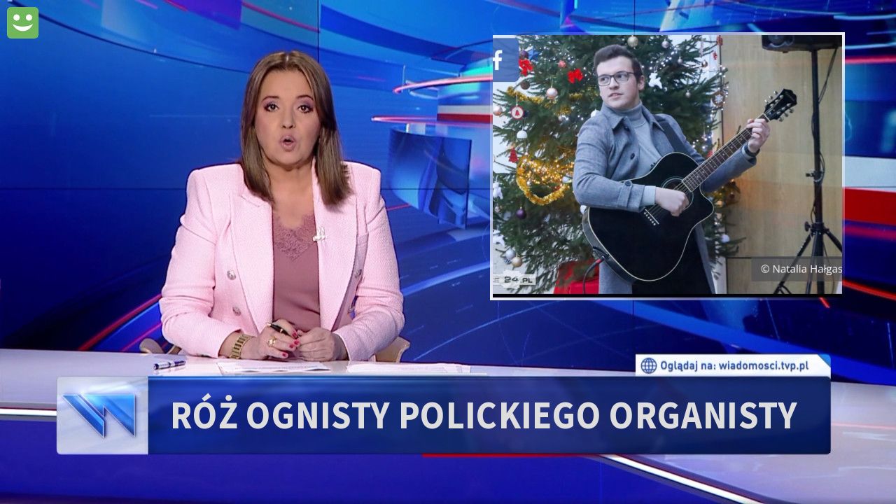 Róż ognisty polickiego organisty