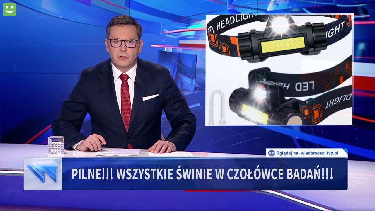 Pilne!!! Wszystkie świnie w czołówce badań!!!