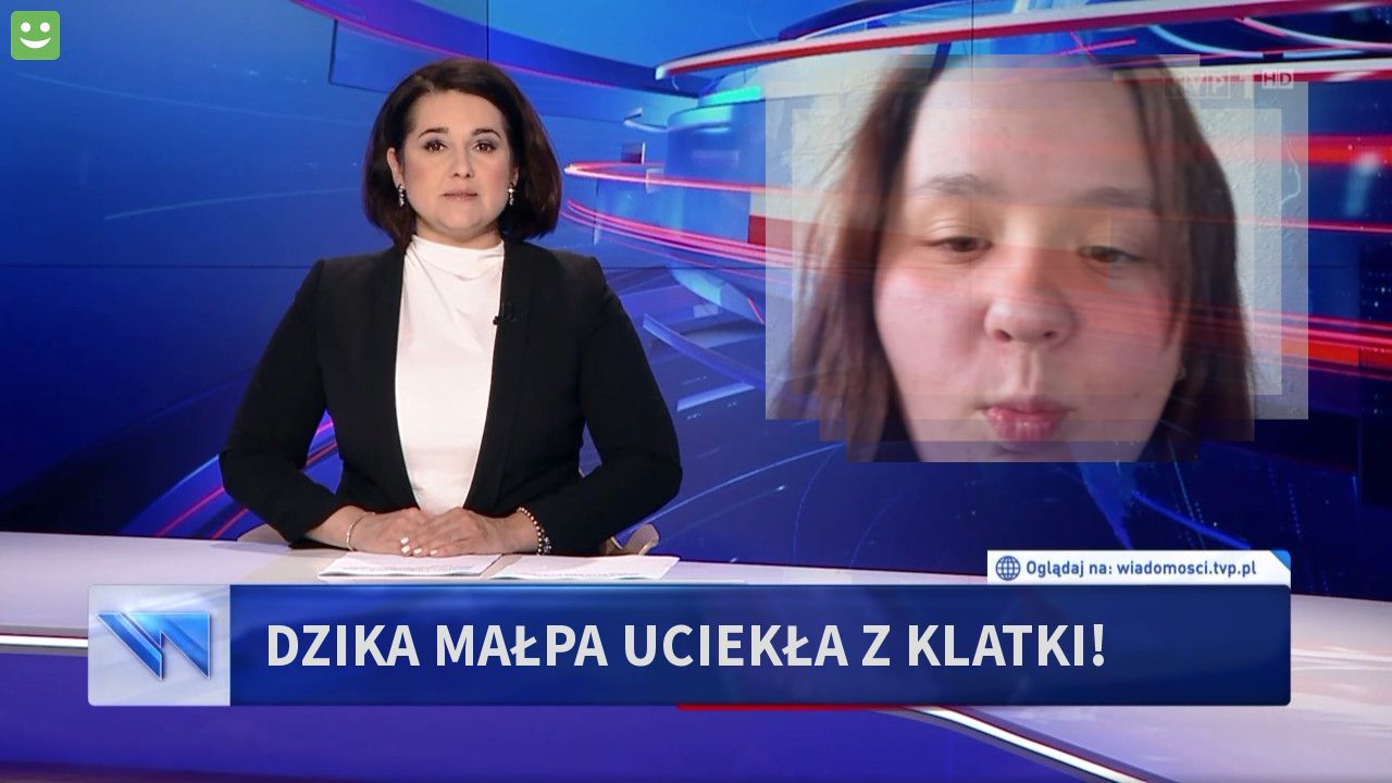 Dzika małpa uciekła z klatki!