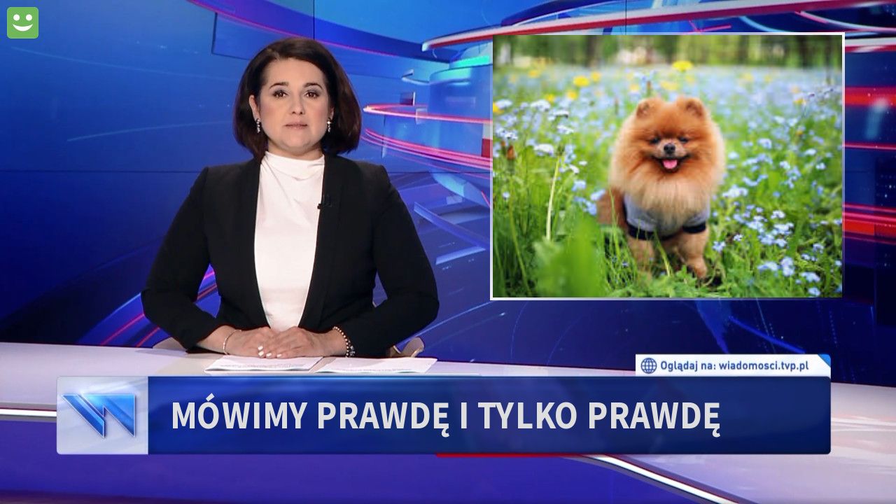 Mówimy prawdę i tylko prawdę