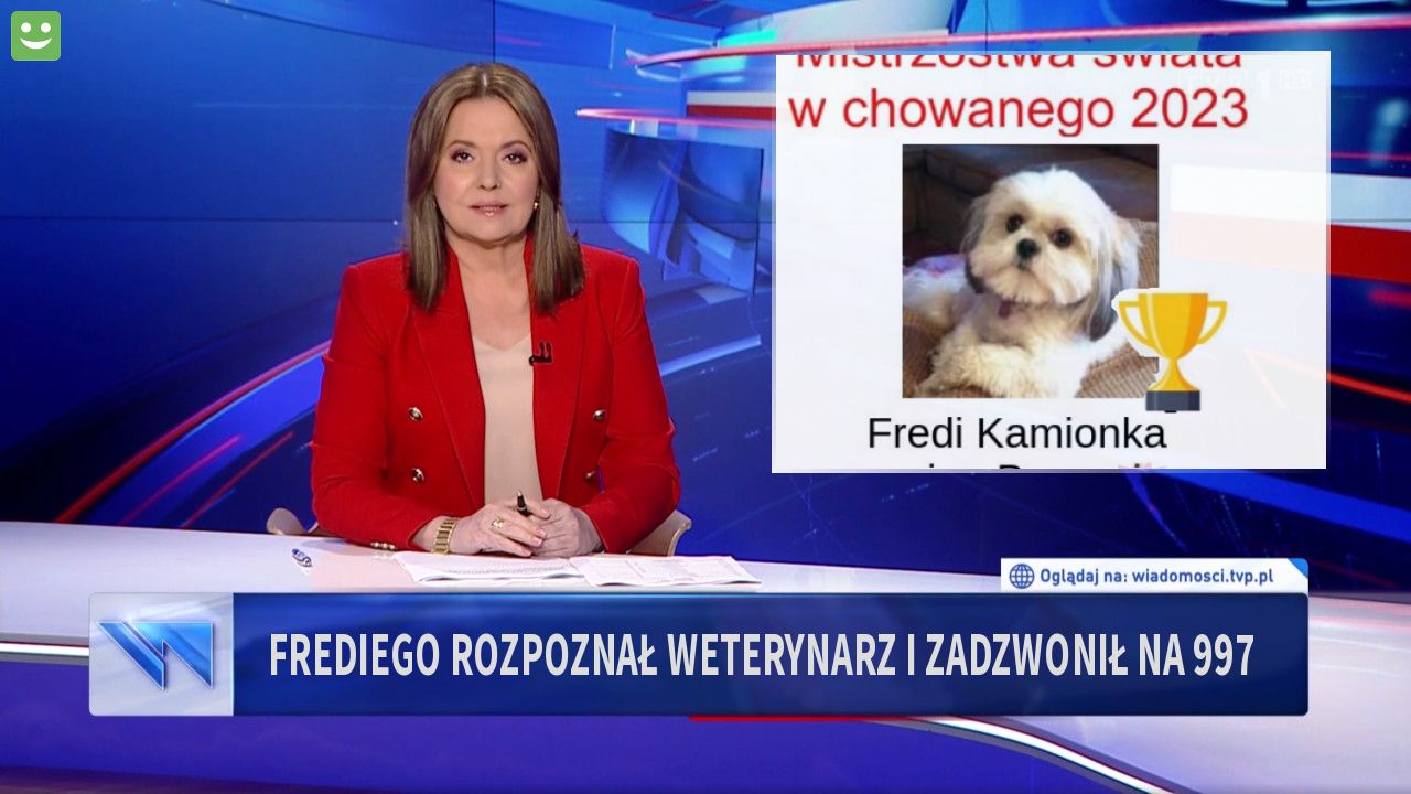 Frediego rozpoznał weterynarz i zadzwonił na 997