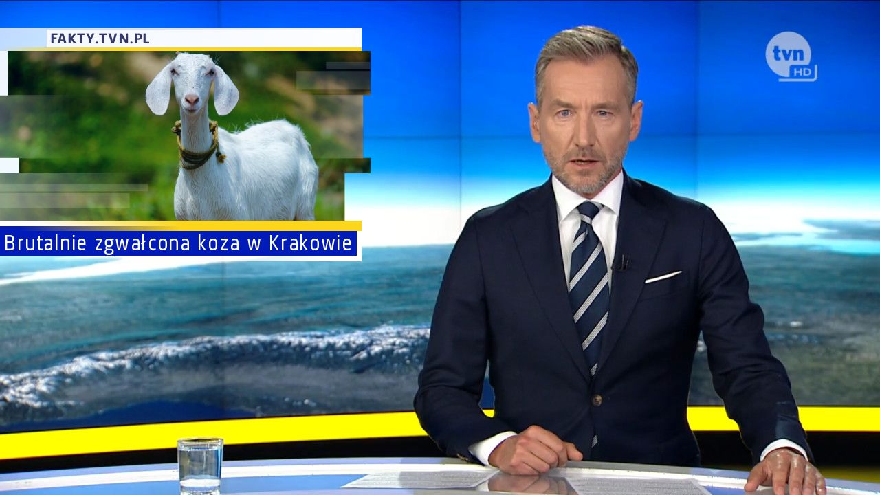 Brutalnie zgwałcona koza w Krakowie 