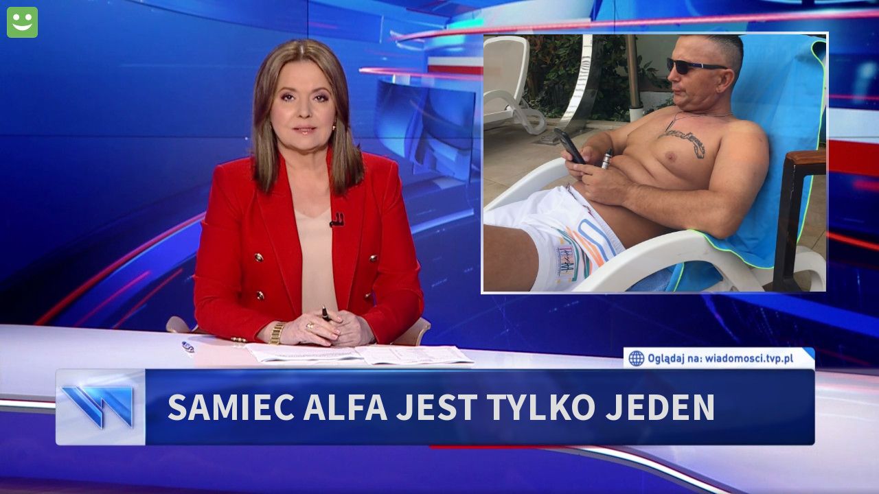 Samiec alfa jest tylko jeden 