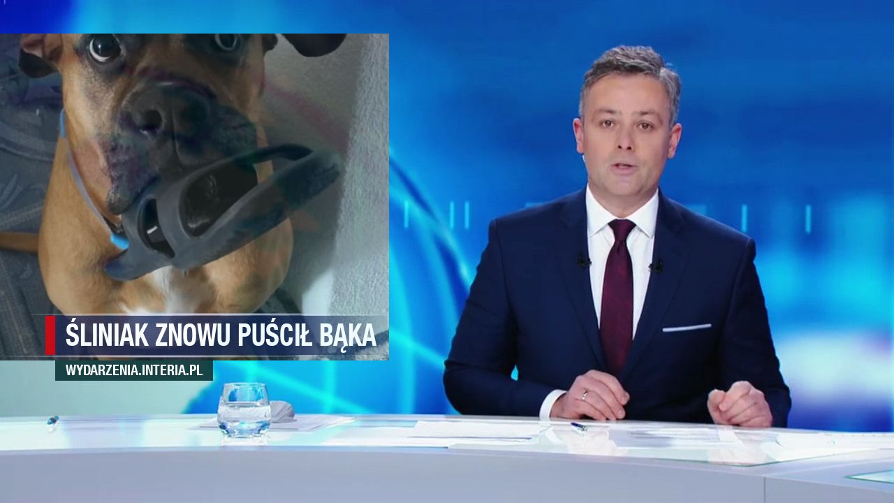 Śliniak znowu puścił bąka 