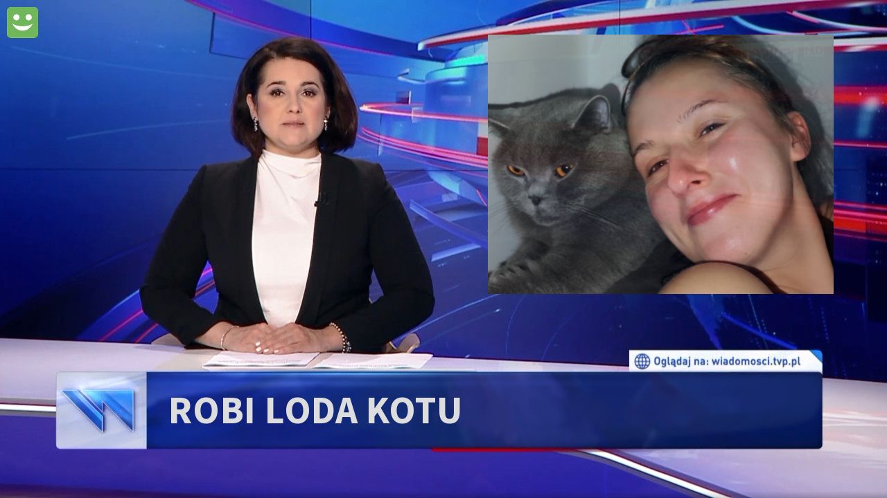 Robi loda kotu 