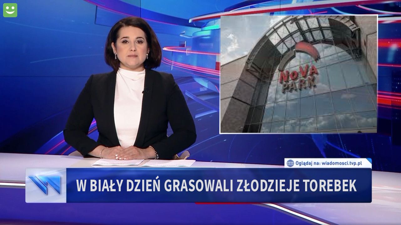 W biały dzień grasowali złodzieje torebek