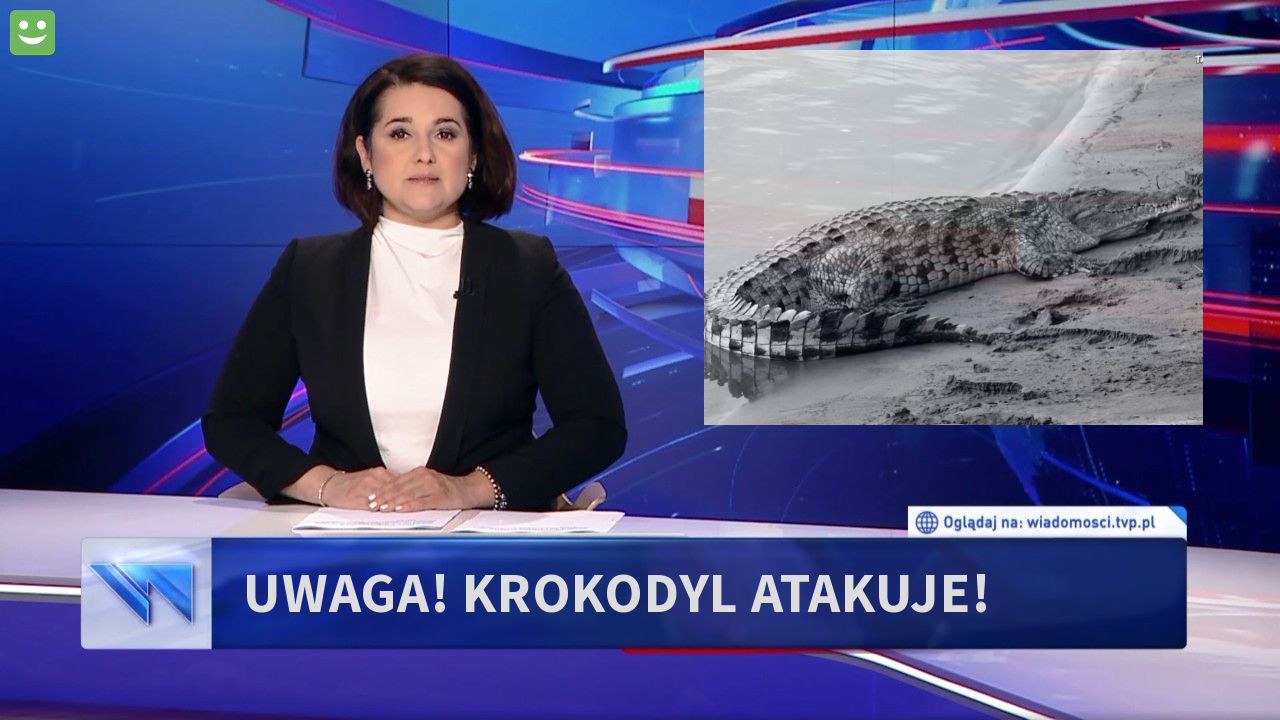 Uwaga! krokodyl atakuje!